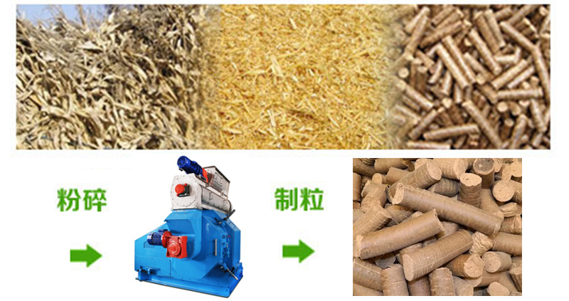 顆粒機(jī)保養(yǎng)