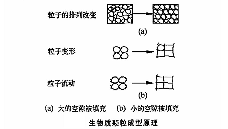 生物質(zhì)顆粒
